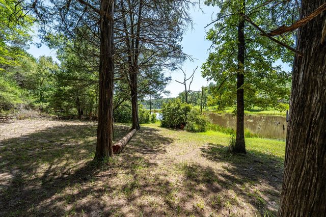 9006 Fallow Run, Larue, TX 75770