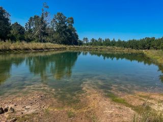 00 Union Springs Road, Corrigan, TX 75939