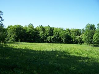 6109 Whiting Drive, Mchenry, IL 60050