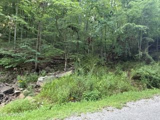 224 Dublin Lane, Crossville, TN 38558