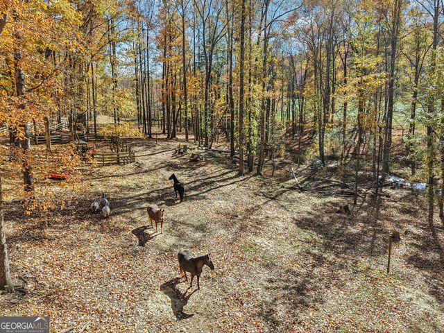 105 Thurmond Walker Road, Dahlonega, GA 30533