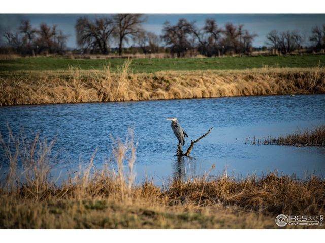 5513 E Highway 14, Fort Collins, CO 80524