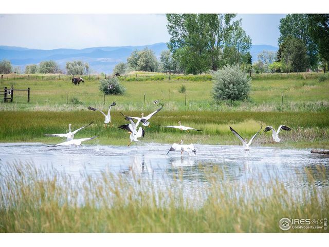 5513 E Highway 14, Fort Collins, CO 80524