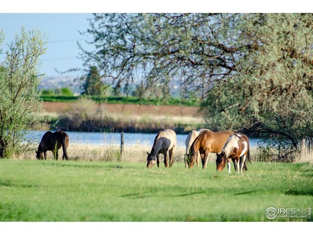 5513 E Highway 14, Fort Collins, CO 80524