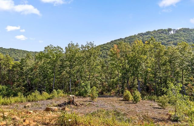 Lot 169 Gray Bluff Trail, Talking Rock, GA 30175