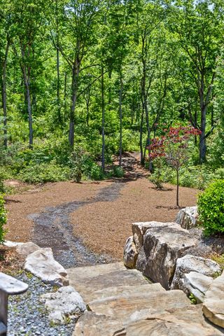 Lot 169 Gray Bluff Trail, Talking Rock, GA 30175