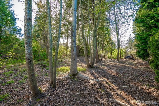 8647 Great Horned Owl Lane, Blaine, WA 98230