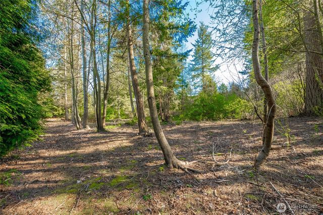8647 Great Horned Owl Lane, Blaine, WA 98230
