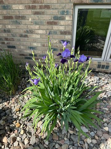 3409 15th Street SW, Minot, ND 58701