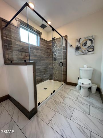 869 Chestnut Drive, Gatlinburg, TN 37738