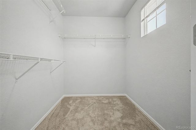 9040 Gale Boulevard 2, Denver, CO 80260