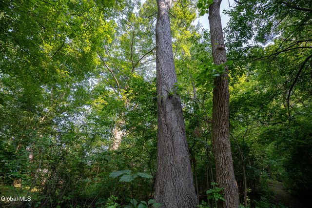 47 Wheeler Road, Bethlehem, NY 12077