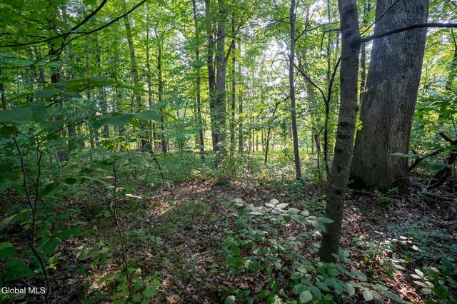 47 Wheeler Road, Bethlehem, NY 12077