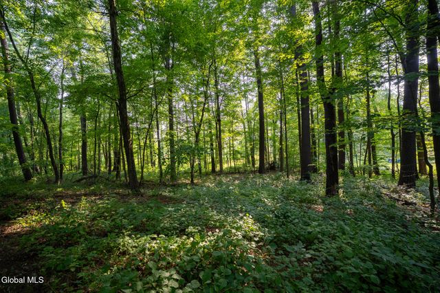 47 Wheeler Road, Bethlehem, NY 12077