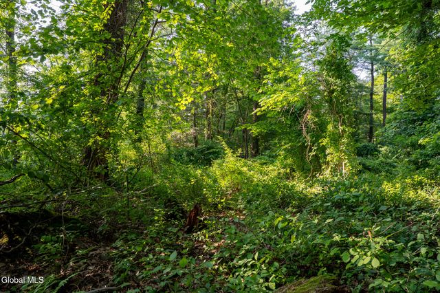 47 Wheeler Road, Bethlehem, NY 12077