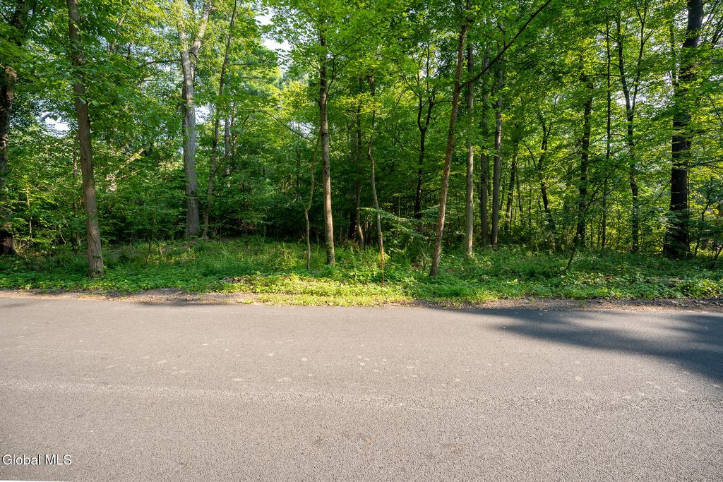 47 Wheeler Road, Bethlehem, NY 12077