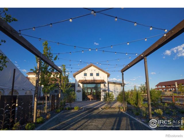 1877 Spring Bloom Drive, Windsor, CO 80550