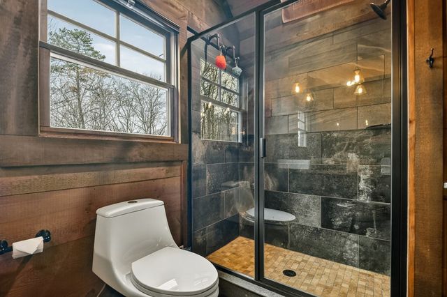 389 Toccoa Preserve Lane, Blue Ridge, GA 30513