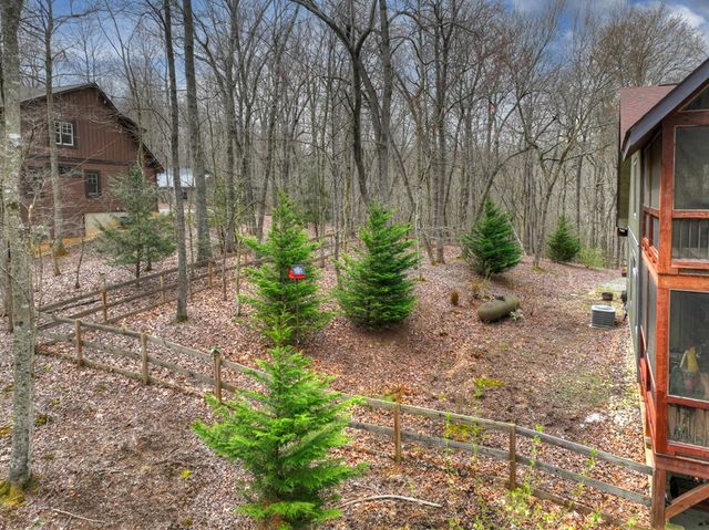 389 Toccoa Preserve Lane, Blue Ridge, GA 30513