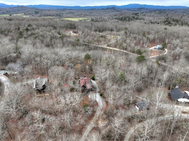 389 Toccoa Preserve Lane, Blue Ridge, GA 30513