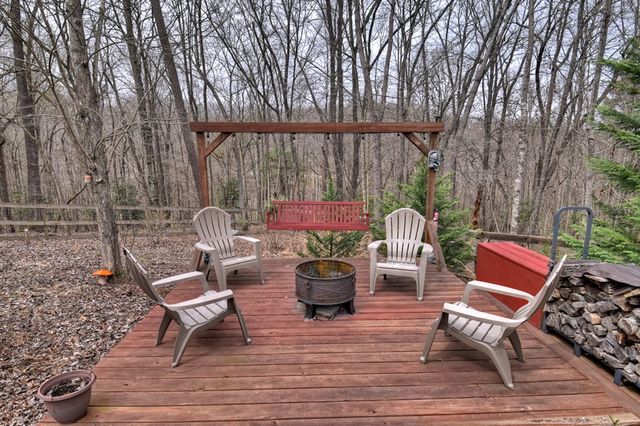 389 Toccoa Preserve Lane, Blue Ridge, GA 30513