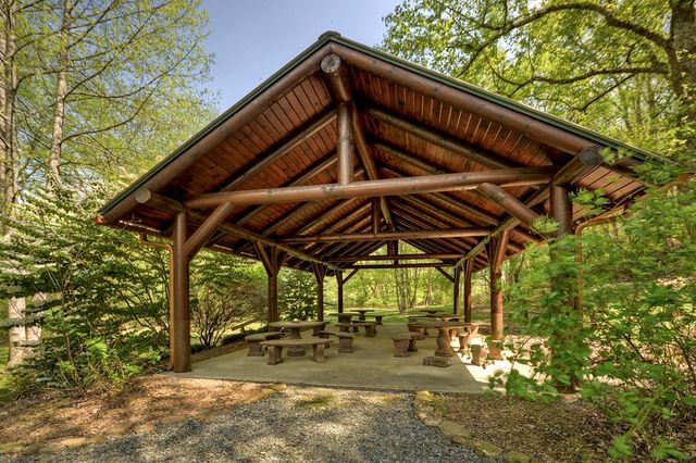 389 Toccoa Preserve Lane, Blue Ridge, GA 30513