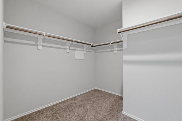 23611 Eldarica Pines Court, The Woodlands, TX 77375