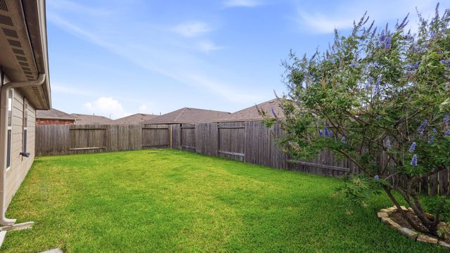 23611 Eldarica Pines Court, The Woodlands, TX 77375