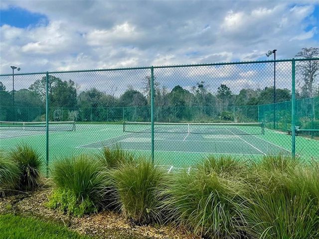 1705 PLANTATION POINTE DRIVE, Orlando, FL 32824