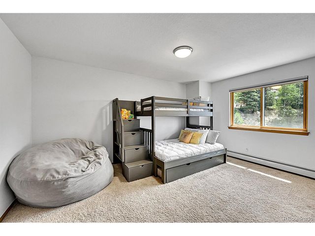 54 Spruce Ct, Evergreen, CO 80439
