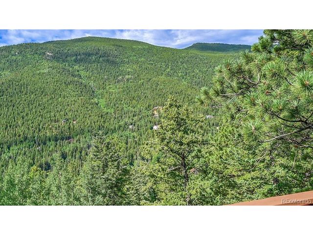 54 Spruce Ct, Evergreen, CO 80439