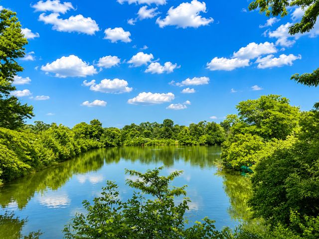 5536 E Lake Drive 68-C, Lisle, IL 60532