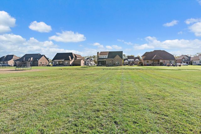 1925 Rhonda Dr, Christiana, TN 37037