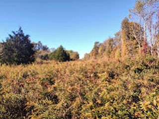 1394 Peeled Oak Road, Owingsville, KY 40360