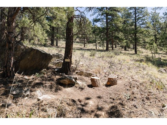1898 Kerr Gulch Rd, Evergreen, CO 80439