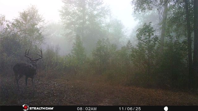 2329 Fm 819, Diboll, TX 75941