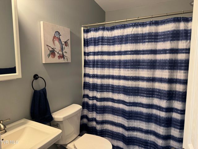 298 Rabbit Run Lane, Dryden, VA 24243