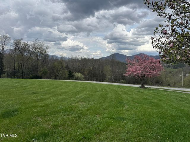 298 Rabbit Run Lane, Dryden, VA 24243