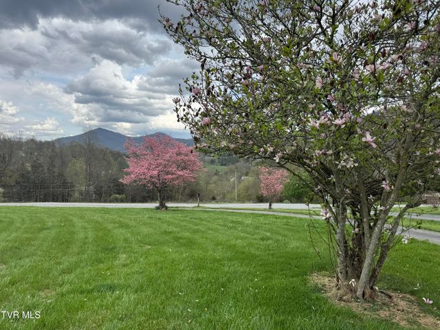 298 Rabbit Run Lane, Dryden, VA 24243
