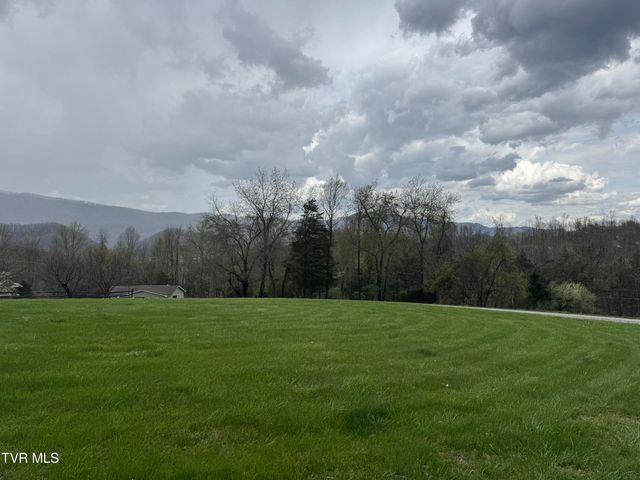 298 Rabbit Run Lane, Dryden, VA 24243