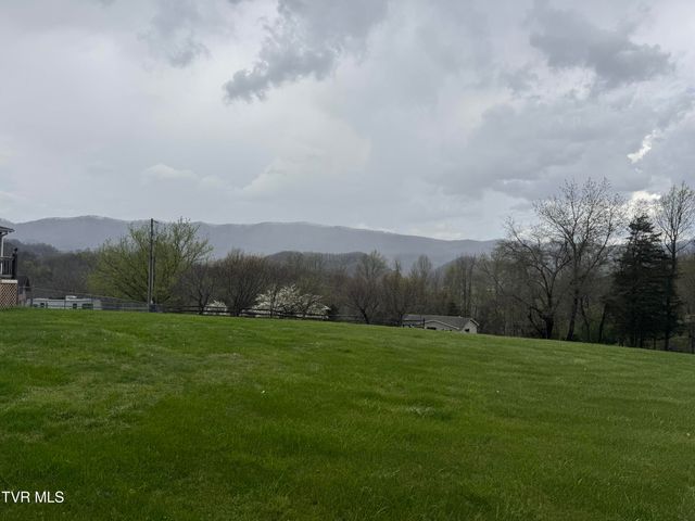 298 Rabbit Run Lane, Dryden, VA 24243