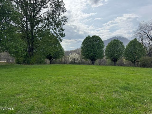 298 Rabbit Run Lane, Dryden, VA 24243