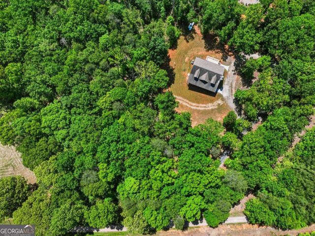 1247 Little Mountain Road, Dawsonville, GA 30534