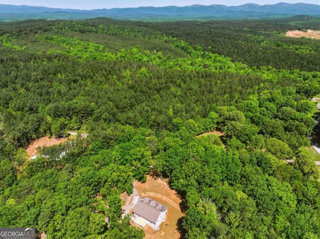 1247 Little Mountain Road, Dawsonville, GA 30534