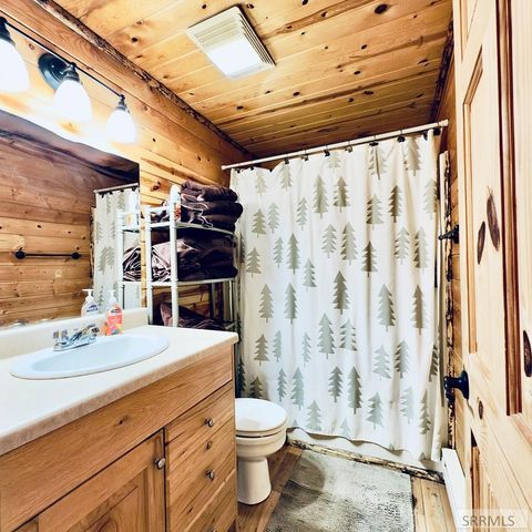 3892 Coho Drive, Island Park, ID 83429