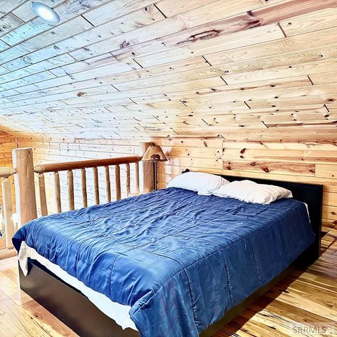 3892 Coho Drive, Island Park, ID 83429