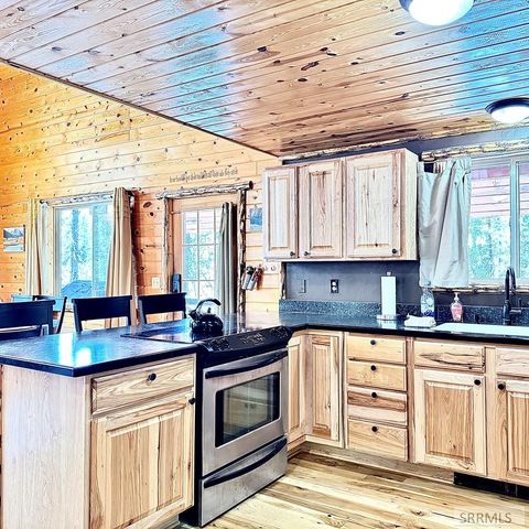 3892 Coho Drive, Island Park, ID 83429