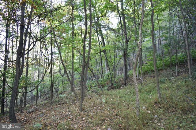 2083 CLAY PITS LN, Great Cacapon, WV 25422