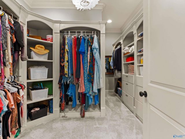 203 Coach Lamp Drive, Madison, AL 35758