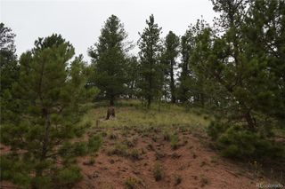 557 Gold King Drive, Cripple Creek, CO 80813